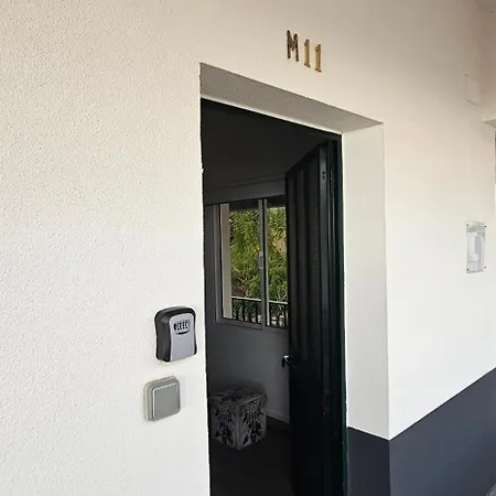 Mountain View Star *